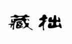关于藏拙的作文模板8篇