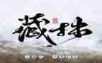 关于藏拙的作文6篇