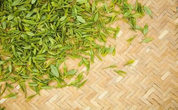学茶艺心得体会5篇