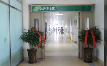 产科医生半年工作总结6篇
