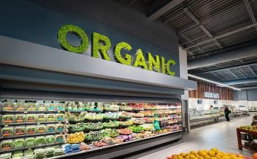 去超市的调查报告范文8篇