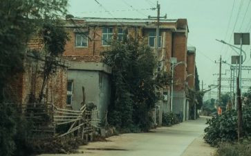 城南旧事的读后感500字作文优质8篇