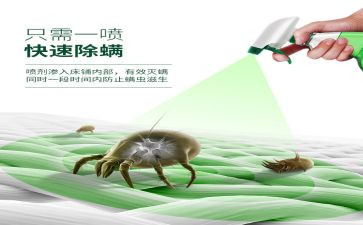 售后除螨服务工作计划通用5篇
