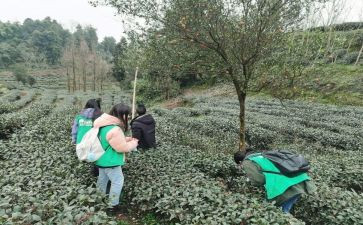 川农毕业自我鉴定范文6篇