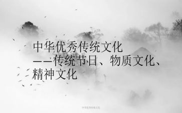传统中国年作文8篇