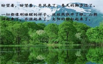 兔年春节心得体会7篇