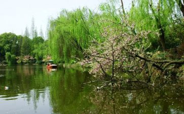 关于春节的心得体会500字5篇