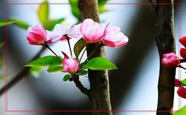 小学生春节心得体会7篇