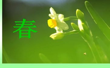 春水的读后感优质8篇