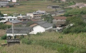 青和村环境整治工作总结推荐7篇
