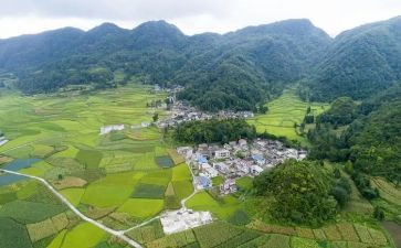 农村小学教育调查报告6篇