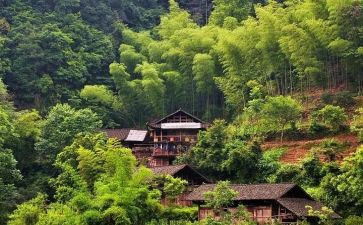村级干部培训心得体会5篇