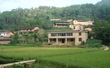 大学生村官工作计划优质7篇