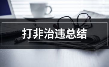 2024年扫黄打非工作总结范文6篇