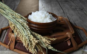 种大米教案7篇