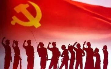 党年终个人总结模板7篇