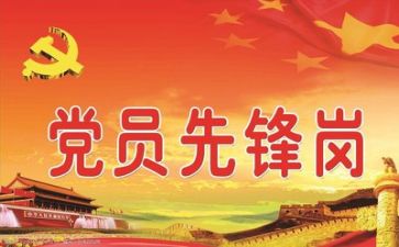 2023党个人工作总结5篇