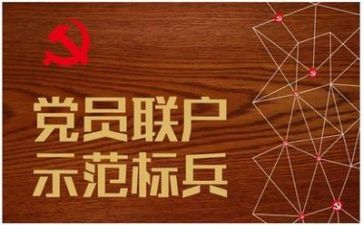 党支工作计划范文模板精选5篇