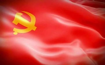 党年终个人总结优秀8篇