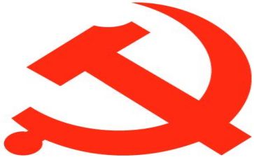 党年终总结精选7篇