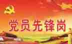 2023党个人工作总结5篇