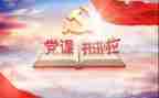 党年终个人总结参考6篇