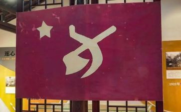 医生党员优秀事迹材料5篇