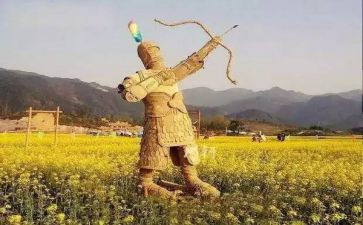 读《稻草人》心得体会7篇