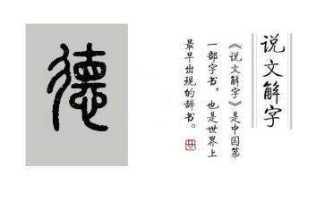 德育处个人述职报告参考7篇