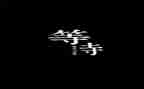 写等待的作文300字5篇