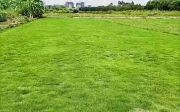 高中地理教师个人工作总结5篇