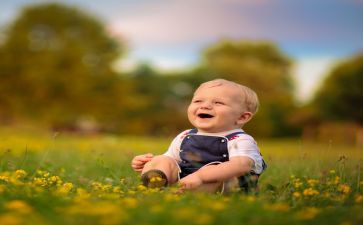 读了弟子规的心得体会5篇