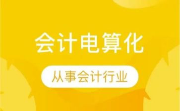 电算化报告心得体会8篇