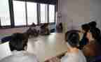 顶岗支教心得体会8篇