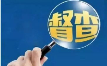 督查队工作总结范文7篇