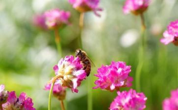 多变的我教案6篇