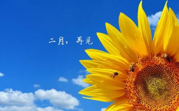 幼儿十二月份工作计划优质6篇