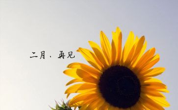 十二月小班工作总结7篇