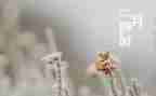 第二月工作总结6篇