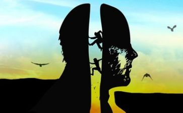我会做教案及反思8篇