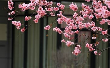 母爱的芬芳作文6篇