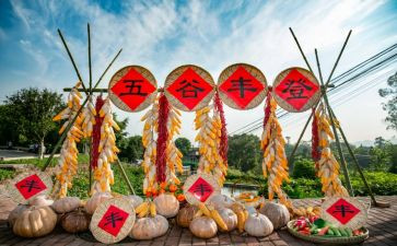 农民丰收节活动方案7篇