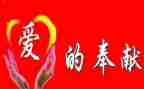 关于奉献的人作文优秀7篇