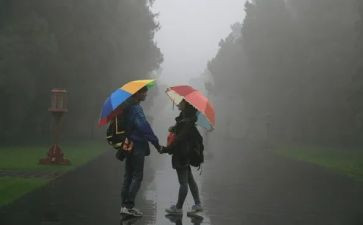 风雨为话题作文通用6篇