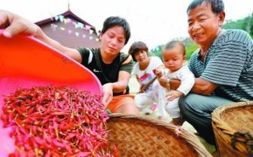 扶贫工作报告6篇