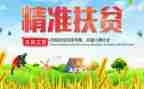 扶贫工作报告优秀6篇