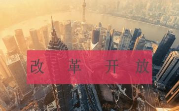关于改革的心得7篇