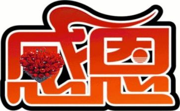 感恩教师的心得模板8篇