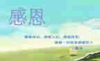 感恩的演讲稿二百字5篇