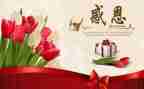感恩教师的心得优质7篇